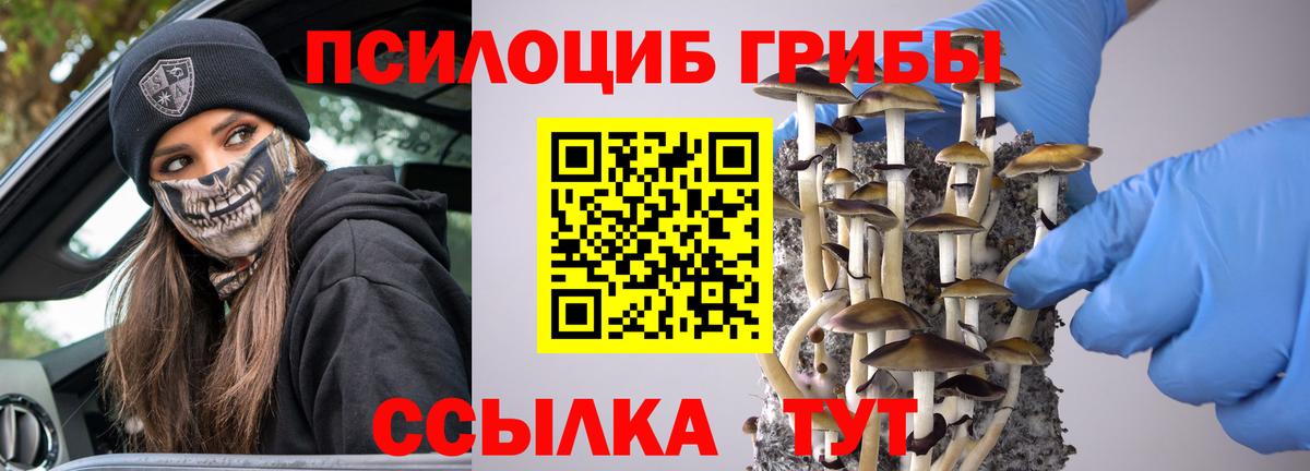 Галлюциногенные грибы Psilocybe  Вход с VPN  Дубна  Псилоцибиновые грибы мицелий 