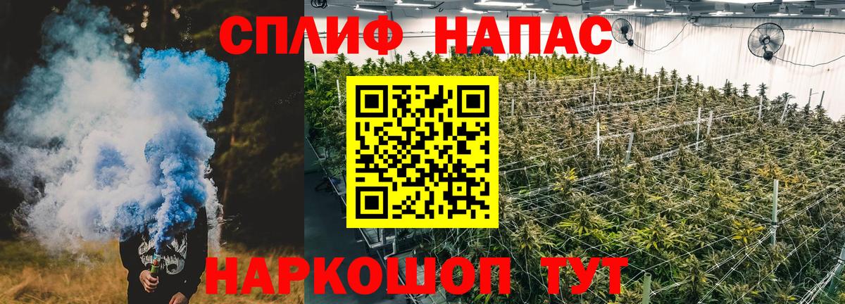 Канабис AK-47 Дубна